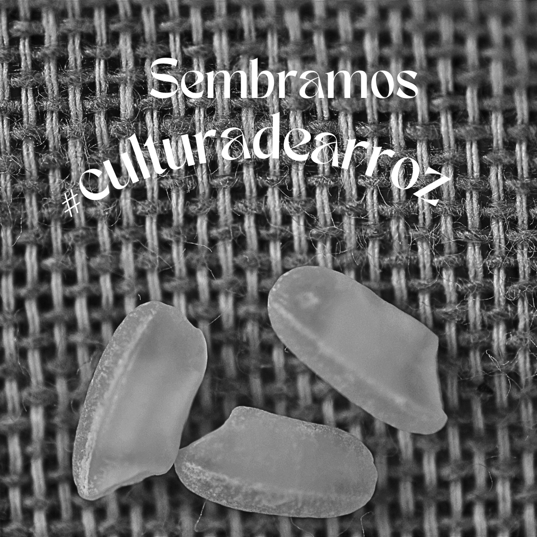culturadearroz